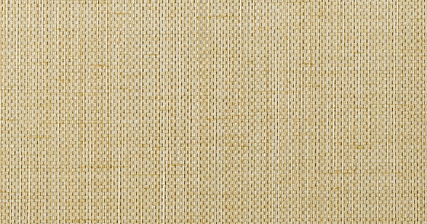 Raising Cain Champagne Taste | Wolf Gordon Wallcoverings