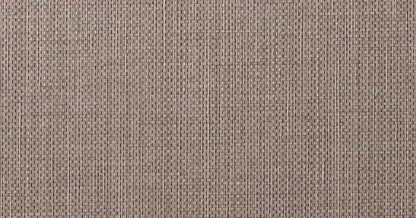 Raising Cain Double Dare | Wolf Gordon Wallcoverings