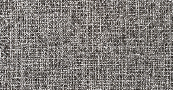 Divine Black & White | Wolf Gordon Wallcoverings