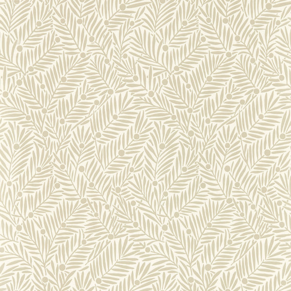 Yew & Aril Rice Paper | Morris & Co.