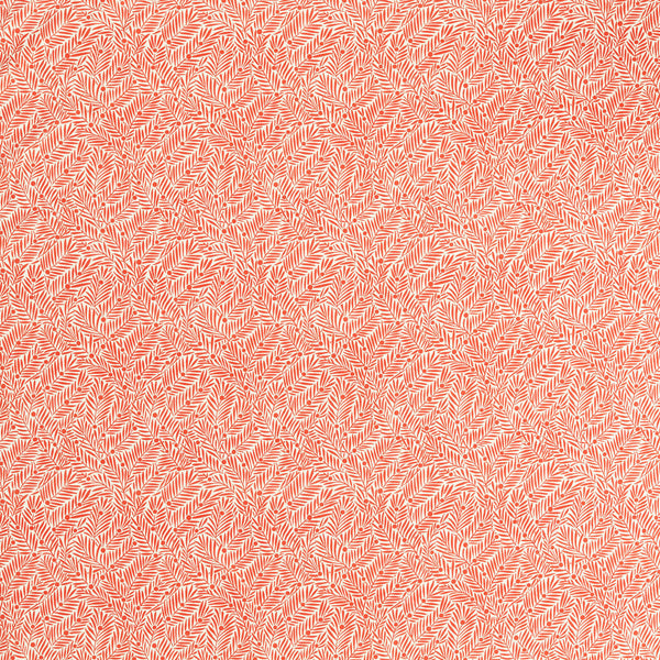 Yew & Aril Watermelon | Morris & Co.