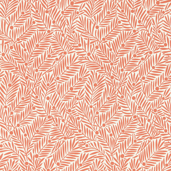 Yew & Aril Watermelon | Morris & Co.