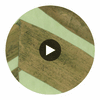 Zebra Drive - Metal and Wood | Hollywood Wallcoverings Circular Swatch | Hollywood Wallcoverings