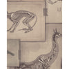 Zooarchaeology Wallpaper | Mind The Gap