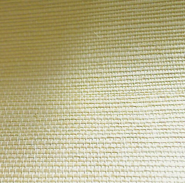 Hilary's Horizontal Grasscloth | Phillipe Romano