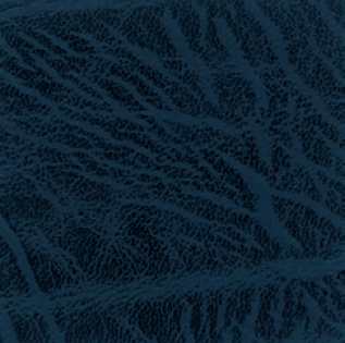 Classic Faux Leather - Navy