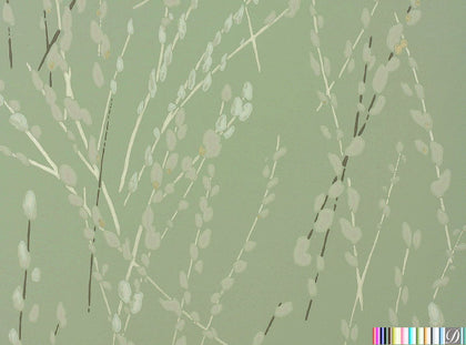 Piza Pussy Willows