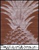 Puget's Pineapple