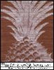 Puget's Pineapple