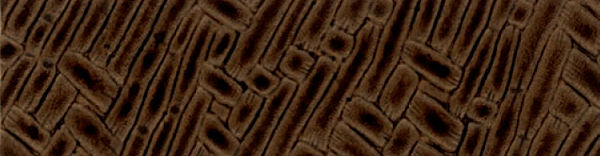 Le Bamboo������ -  Faux Leather - Bark