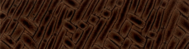 Le Bamboo������ -  Faux Leather - Bark