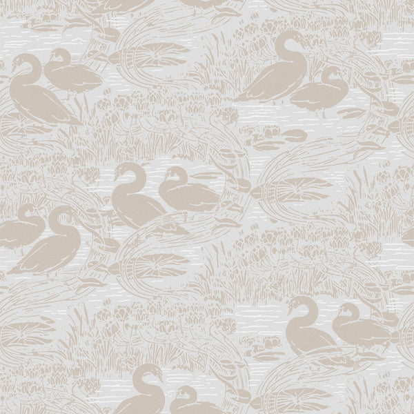Swans Dove Grey Wallcovering