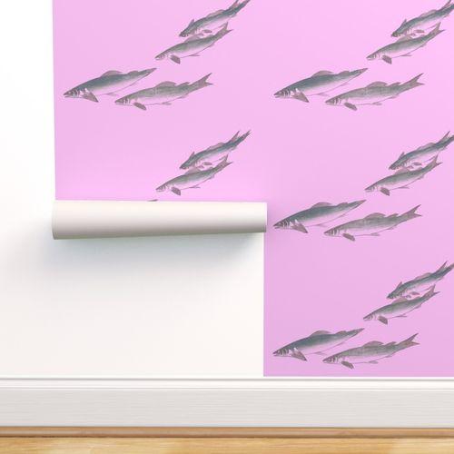 Chiba Shores  Pink Self Adhesive Removable