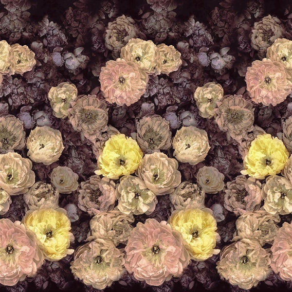 Le Poeme De Fleurs Rosewood | Designers Guild