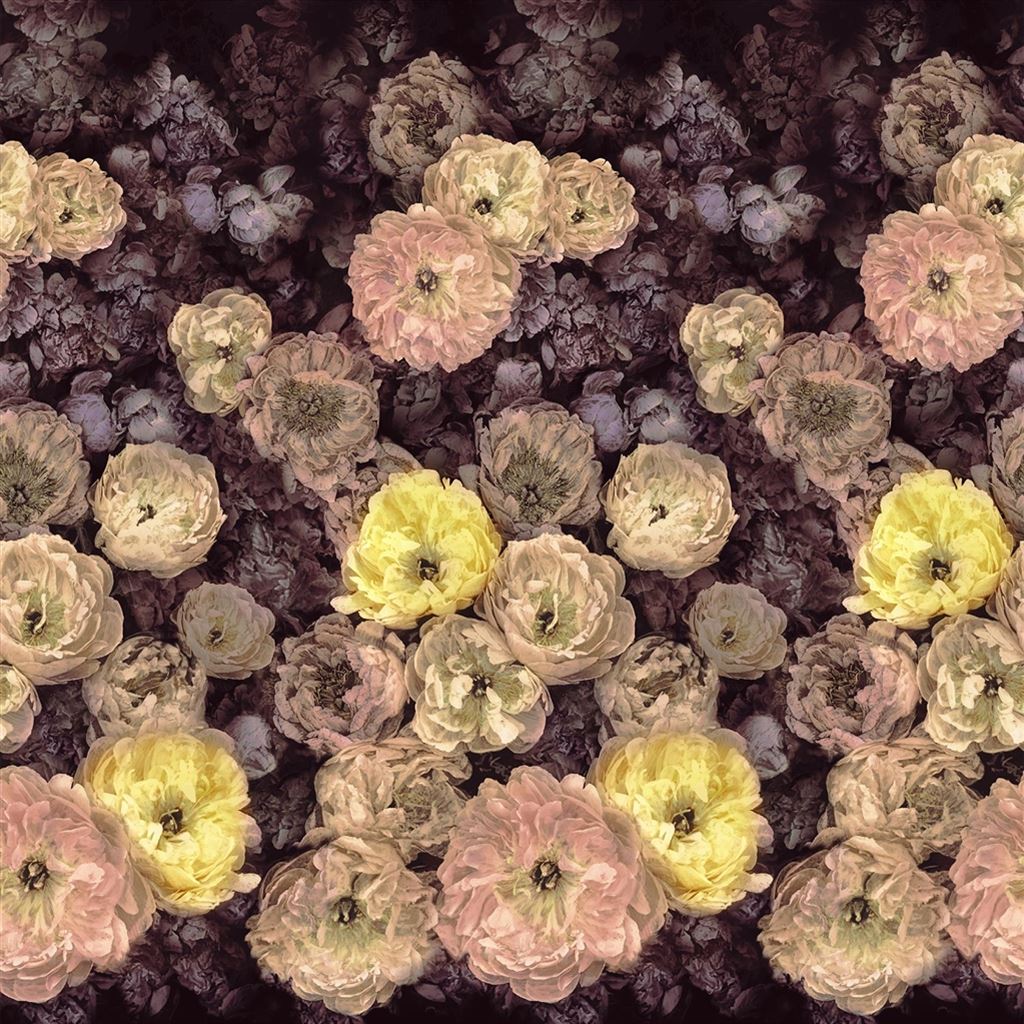 Le Poeme De Fleurs  Rosewood Wallpaper | Designers Guild