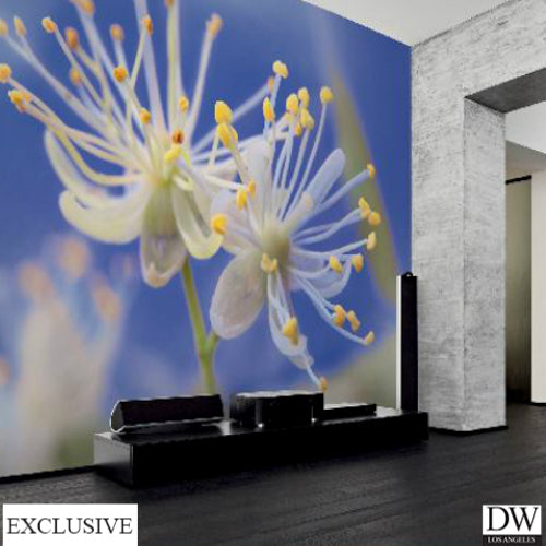 Spring Arrival Wallmural