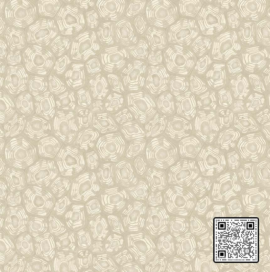  SAVANNA SHELL NON WOVEN BEIGE NEUTRAL  WALLCOVERING available exclusively at Designer Wallcoverings