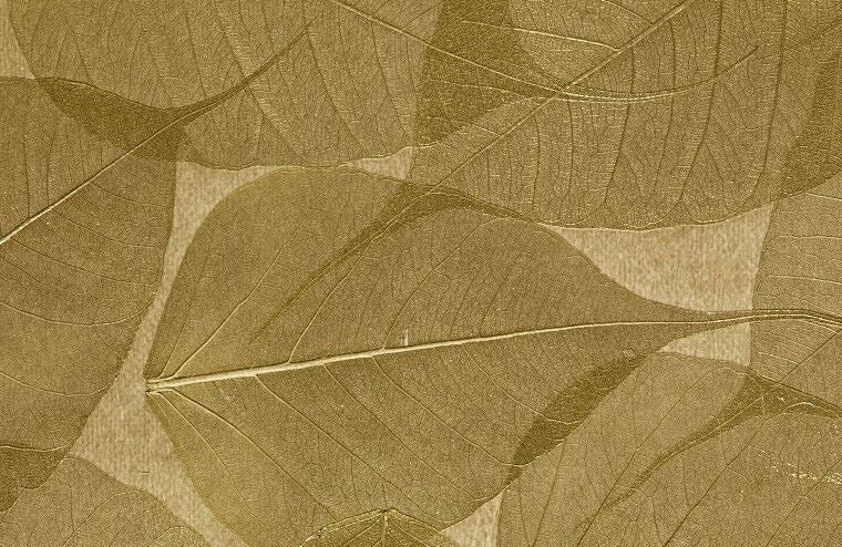 Rika Real Leaf Wallpaper | Phillipe Romano