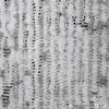 Uxbridge  Specialty Wallcovering
