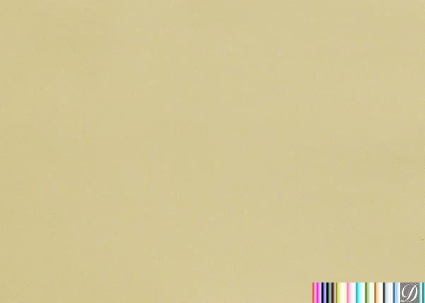 Patently Incredible - Upholstery Vinyl