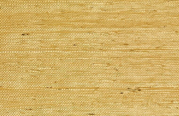 Kaopapa Striated Grasscloth | Phillipe Romano