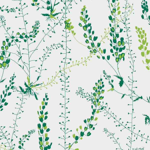 Bladranker - Leaf Wallcovering | Schumacher