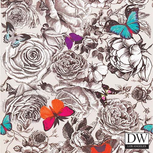 Bonita Butterfly | British Walls