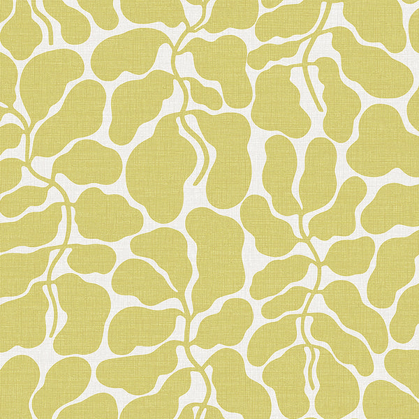 My Secret Garden - Ochre Wallcoverings | Schumacher