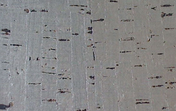 Corkytown Real Cork Wallpaper