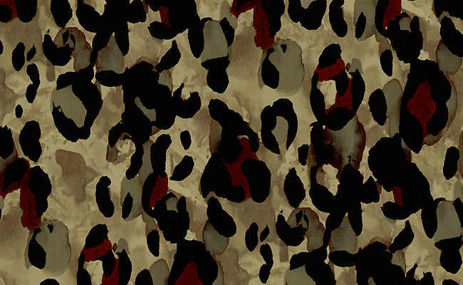 Charlie Cheetah