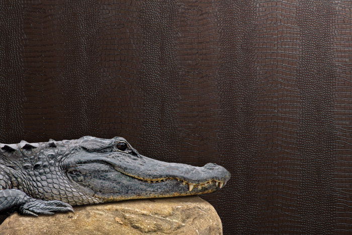 Le Embossed Croc - Room Setting