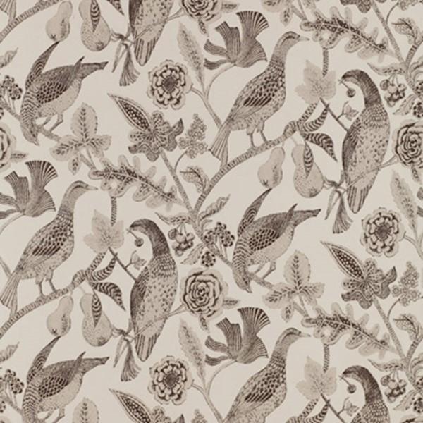 Katmandu - Graphite | Schumacher by Schumacher