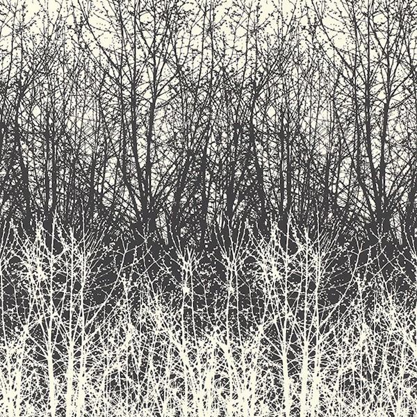 Birches - Black/White | Schumacher by Schumacher