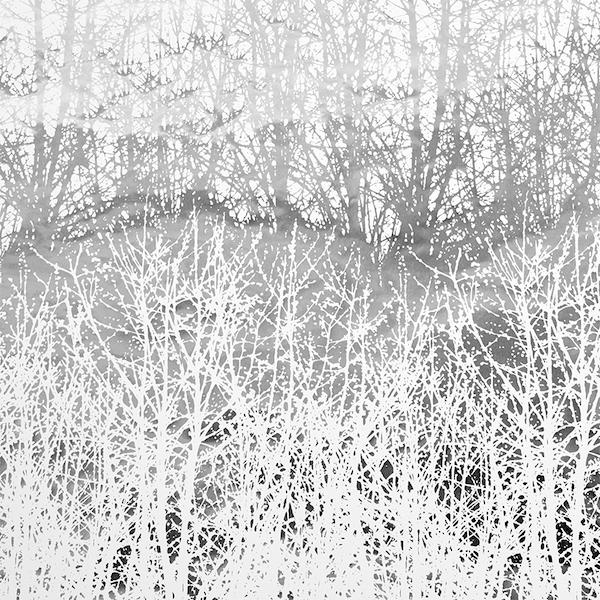 Birches - Silver | Schumacher