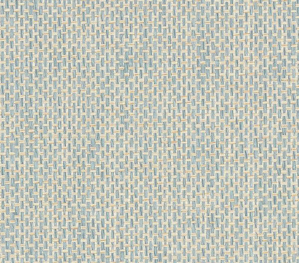 Pacific PaperWeave Grass Light Blue