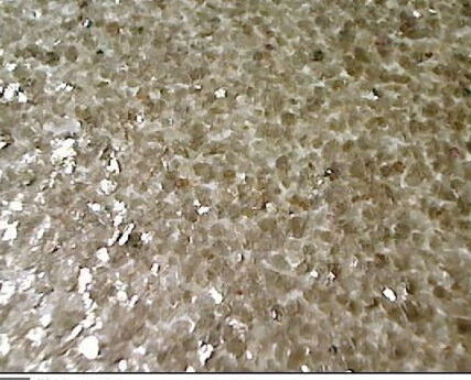 MIllion Dollar MIca Chip | Phillipe Romano
