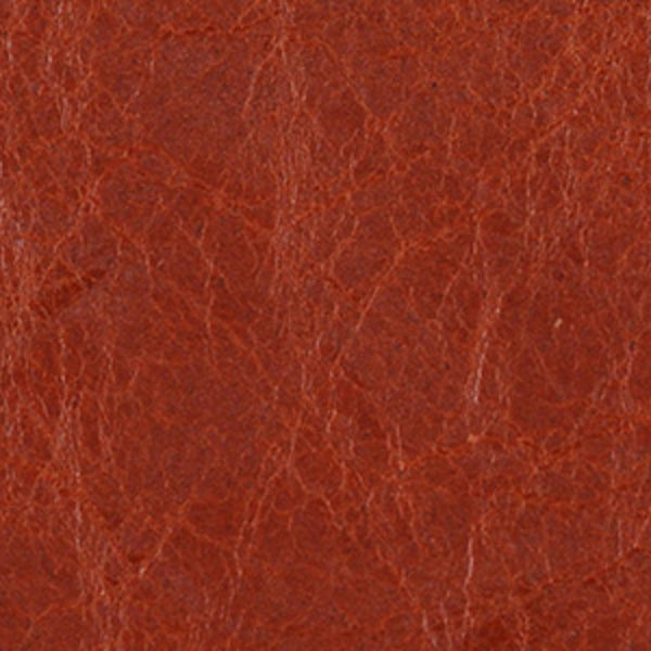 Via Verdana Leather