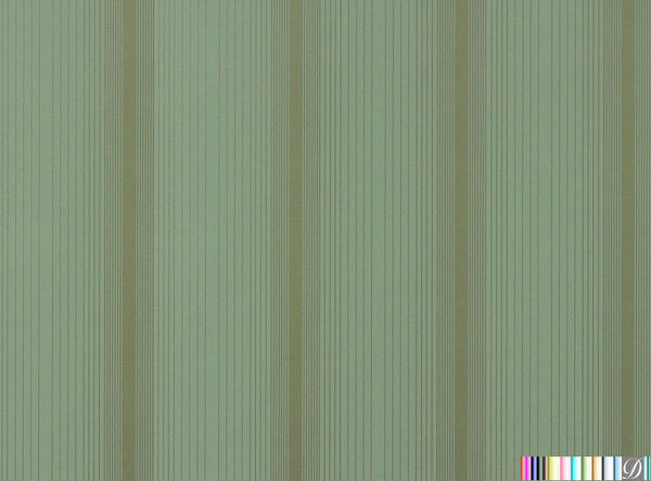 Samantha's Striated Stripe