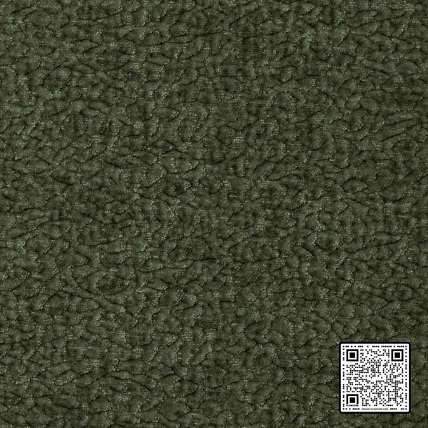  BARTON CHENILLE POLYESTER GREEN SAGE GREEN UPHOLSTERY available exclusively at Designer Wallcoverings