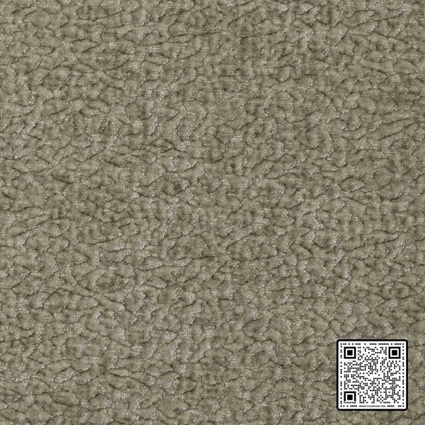  BARTON CHENILLE POLYESTER BEIGE BEIGE BEIGE UPHOLSTERY available exclusively at Designer Wallcoverings