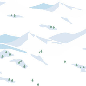 Snow Scene Tundra