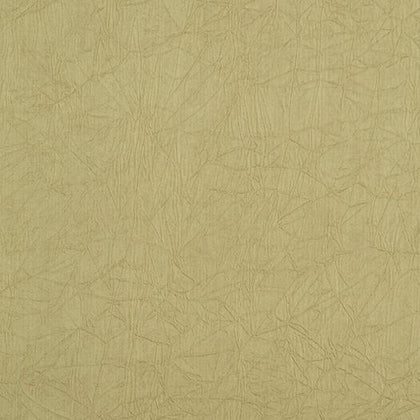 Luxuria Khaki | Phillipe Romano