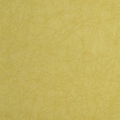 Luxuria Light Yellow | Phillipe Romano