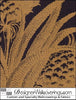 Puget's Pineapple