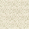 Exclusively at Designer Wallcoverings and Fabrics