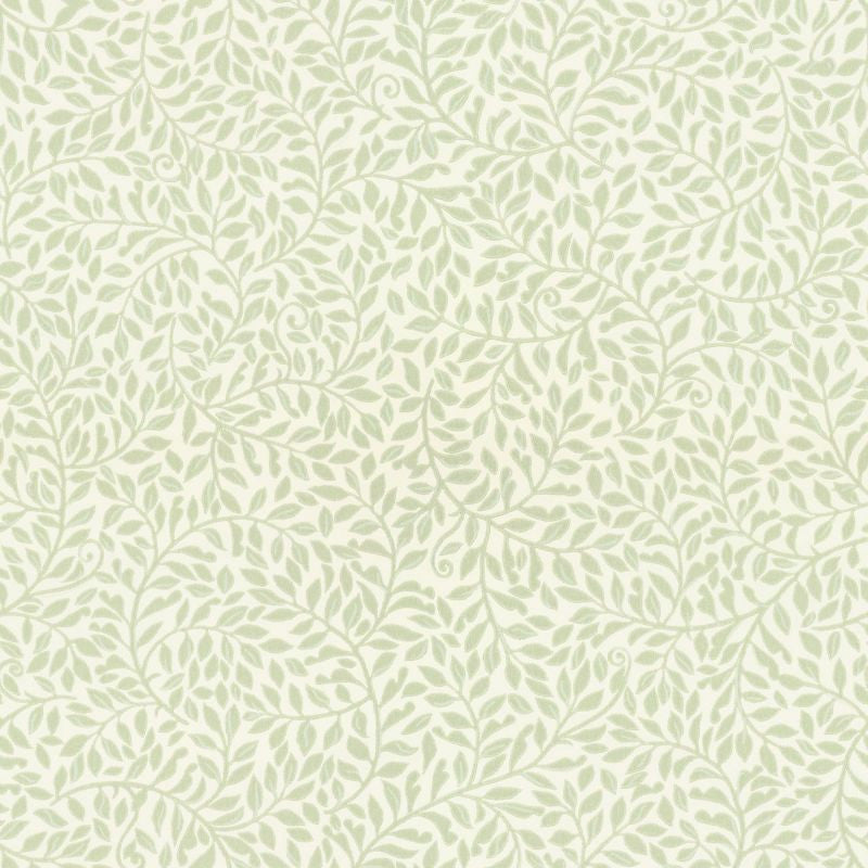 Exclusively at Designer Wallcoverings and Fabrics