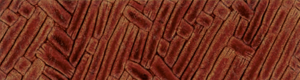 Le Bamboo������ -  Faux Leather - Tea