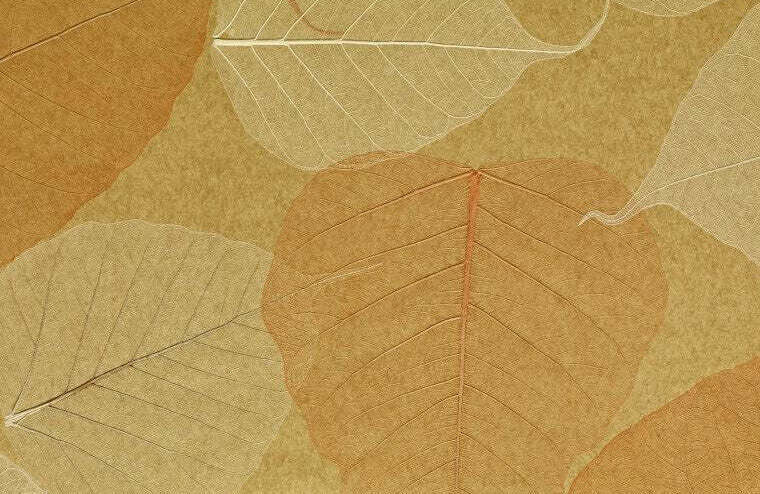 Rika Real Leaf Wallpaper | Phillipe Romano
