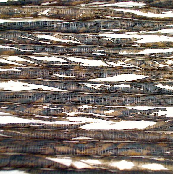 Paper Pleated Walls