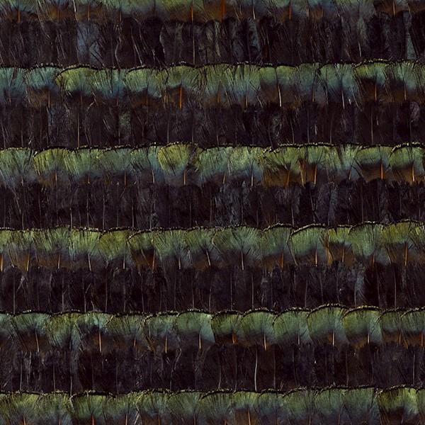 Schumacher Wallpaper - 5004010.jpg at Designer Wallpapers and Fabrics, Your online resource since 2007